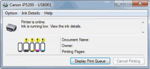 Common Printer Problem